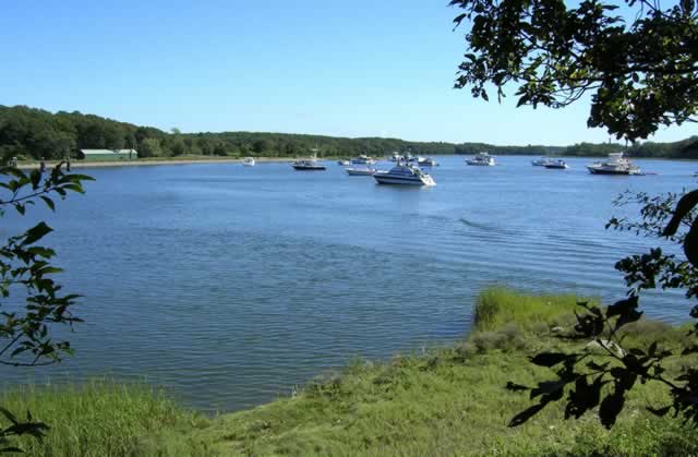 Boat Fleet at the Waterfront